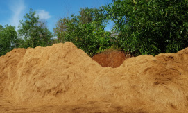 coir-image