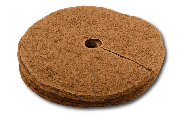 coir mattress