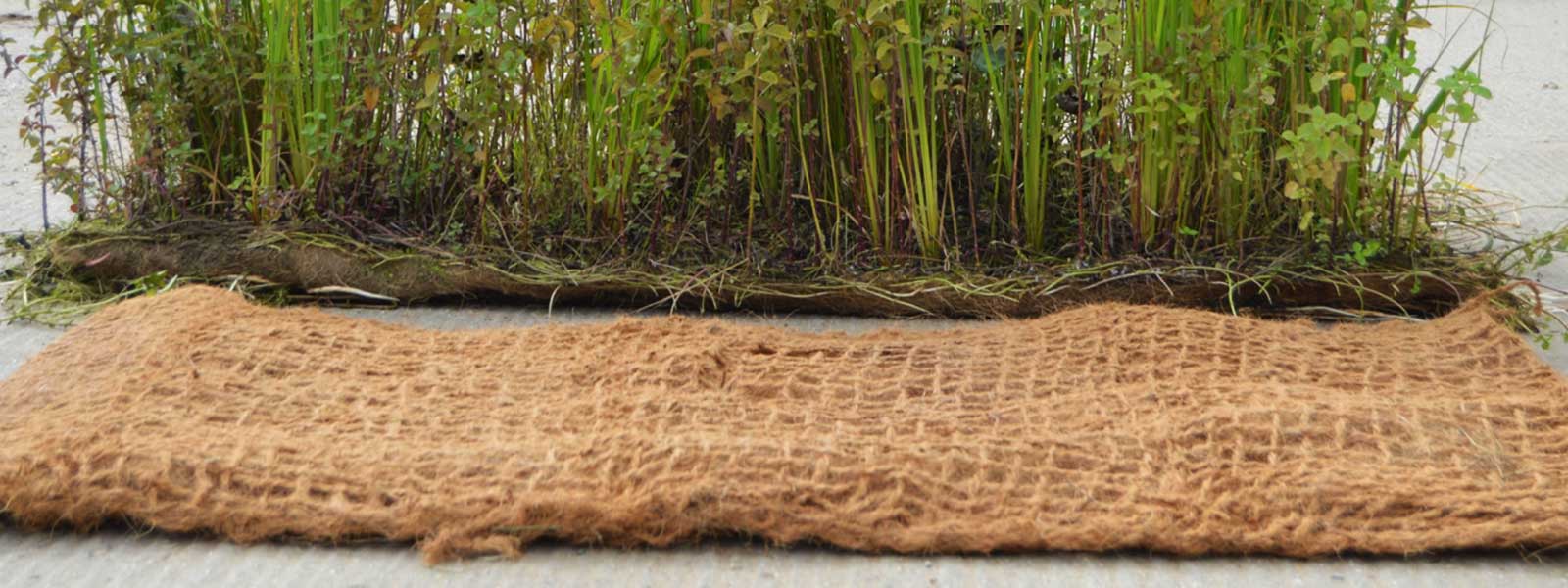 Coir Bed